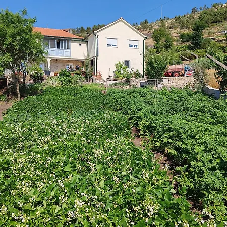 Εξοχικό σπίτι Quintinha Dos Emigrantes *